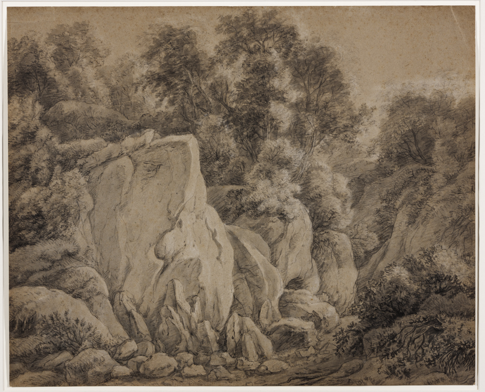 Rotsachtig, bebost landschap