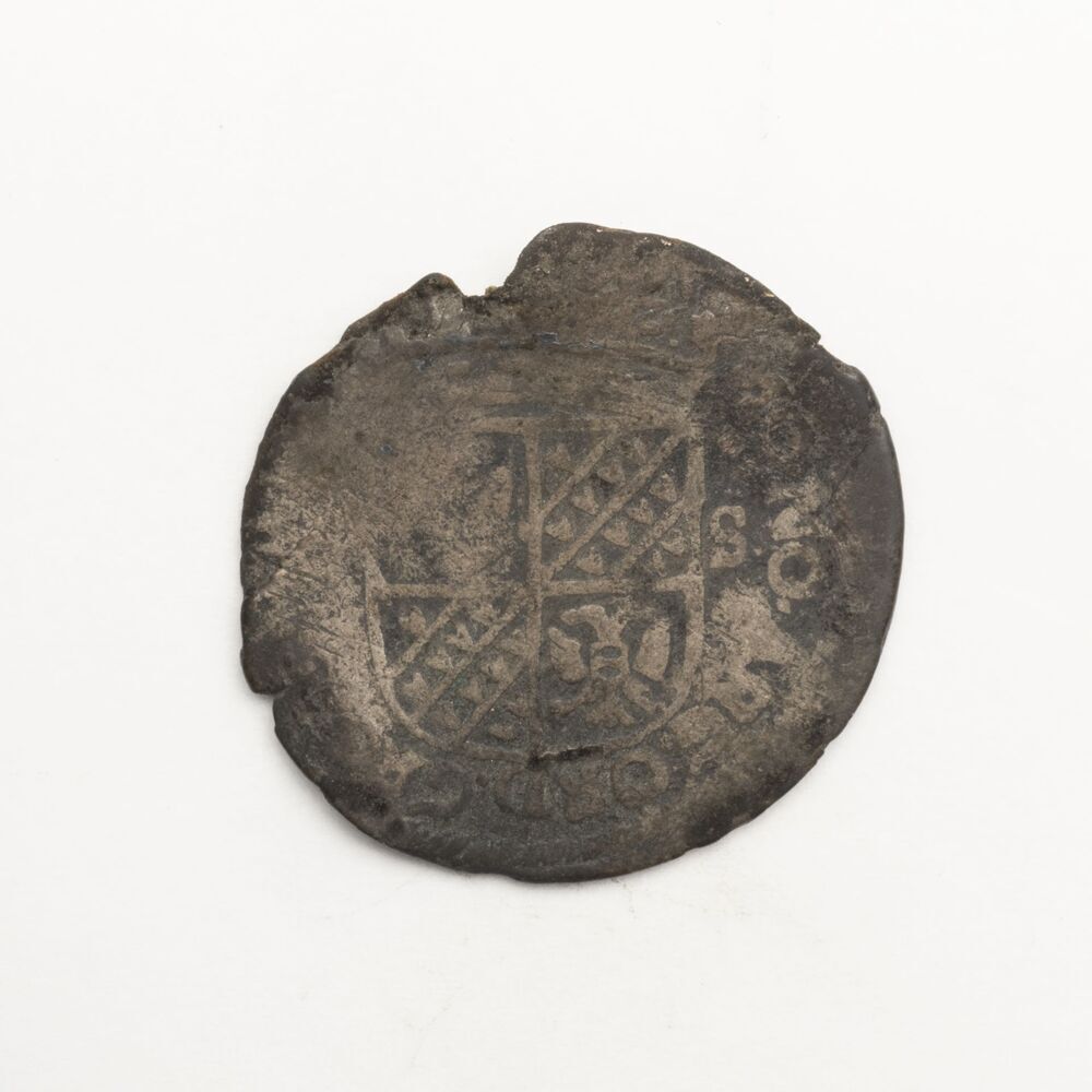 Zilveren Groningse munt