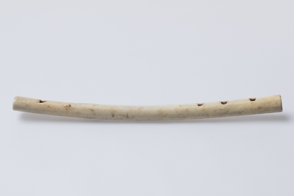 Benen fluit (Westeremden)