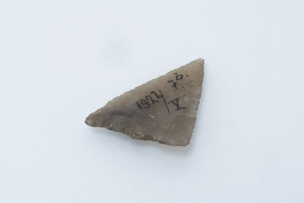 Pijlpunt (Harendermolen)