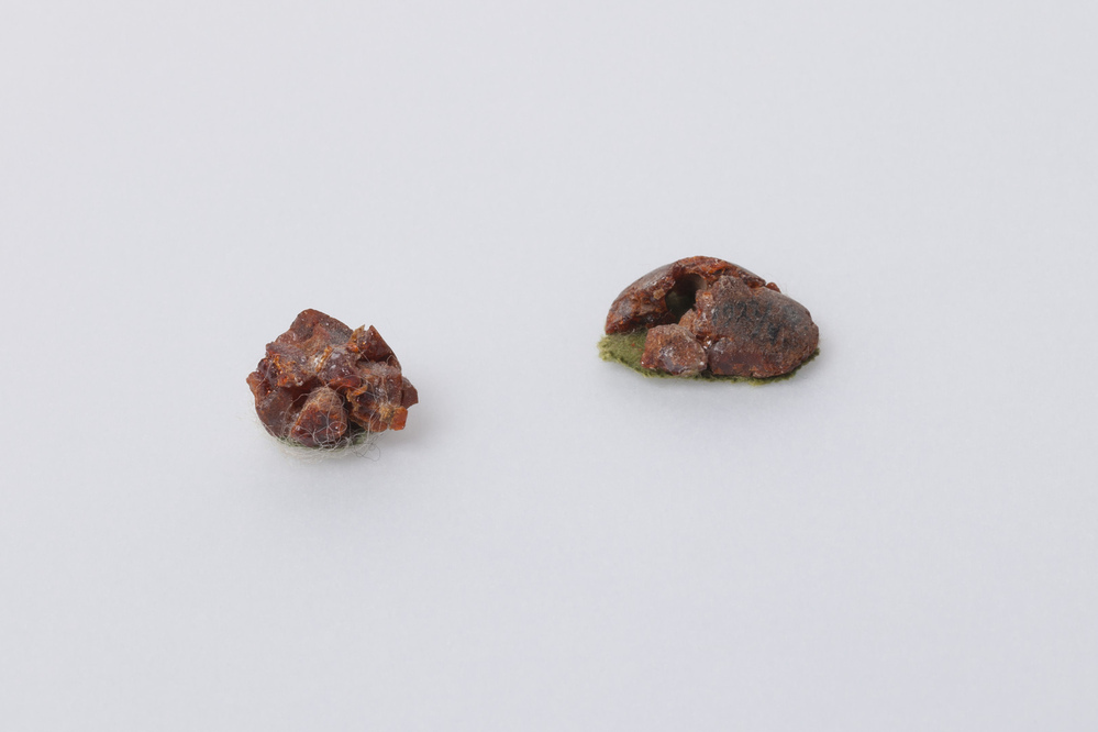 Knoop van barnsteen (Harendermolen)