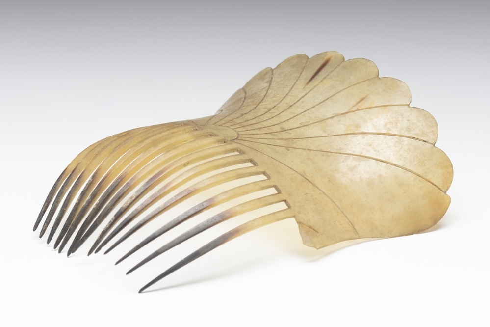 Haarkam van Spaans model