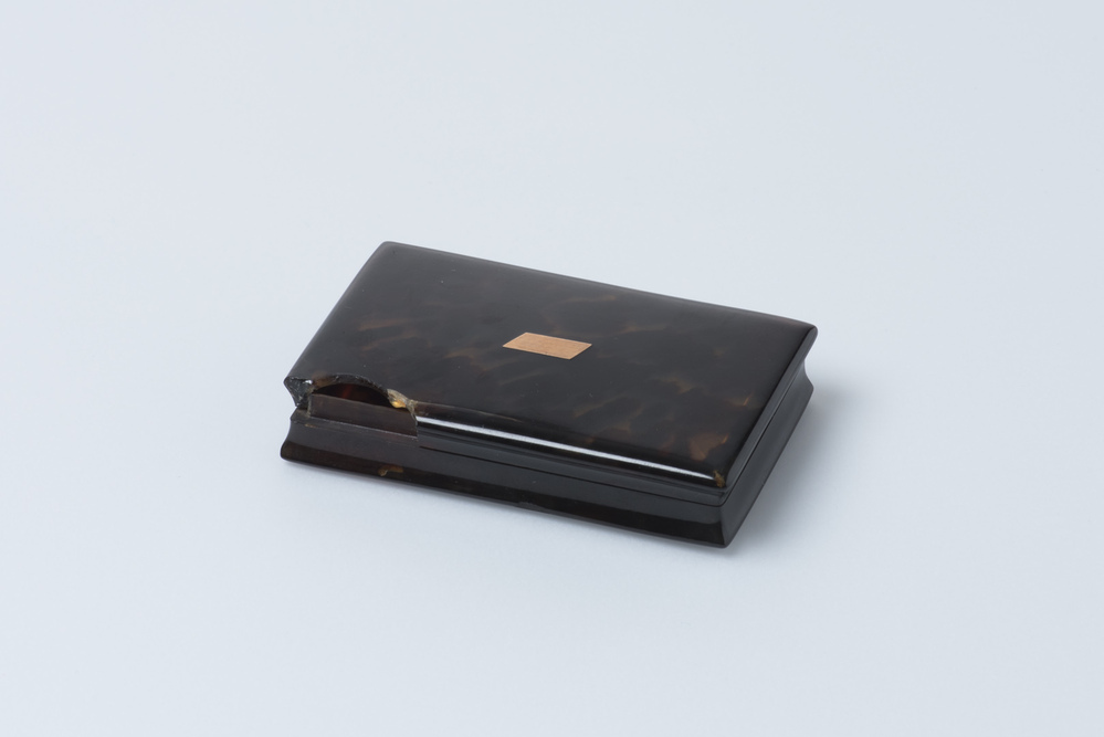 Doosje van schildpad