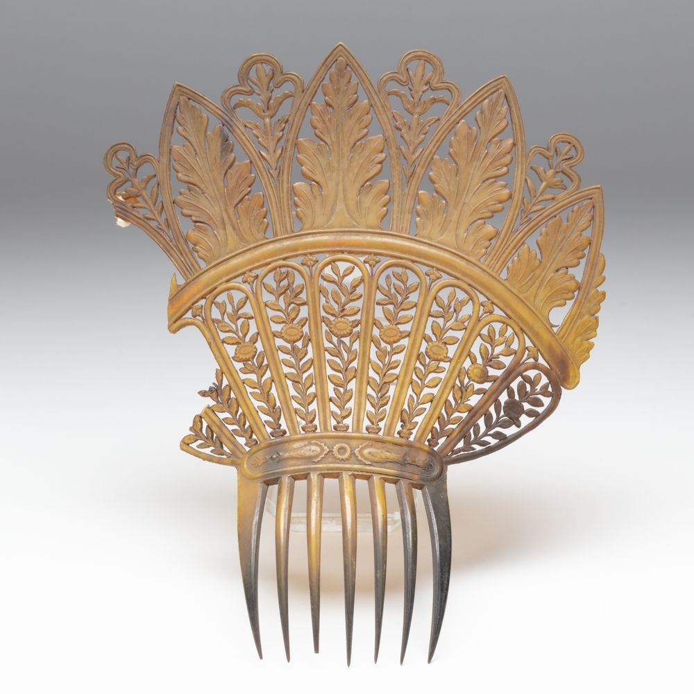 Haarkam van bruin hoorn