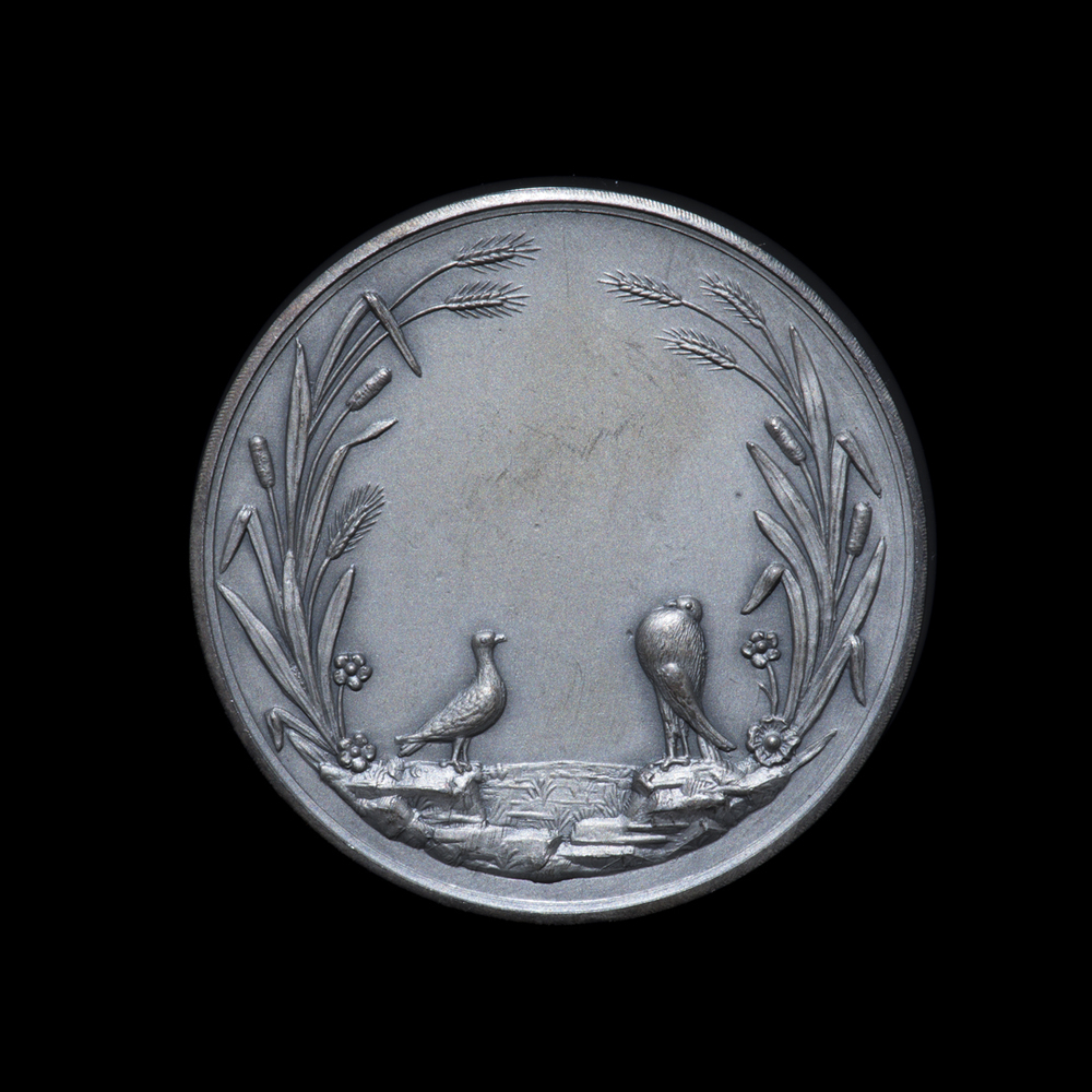 Zilveren penning beste Padua-hen, 1915