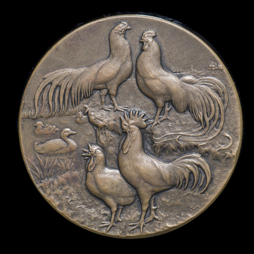 Bronzen penning: AVICULTURA