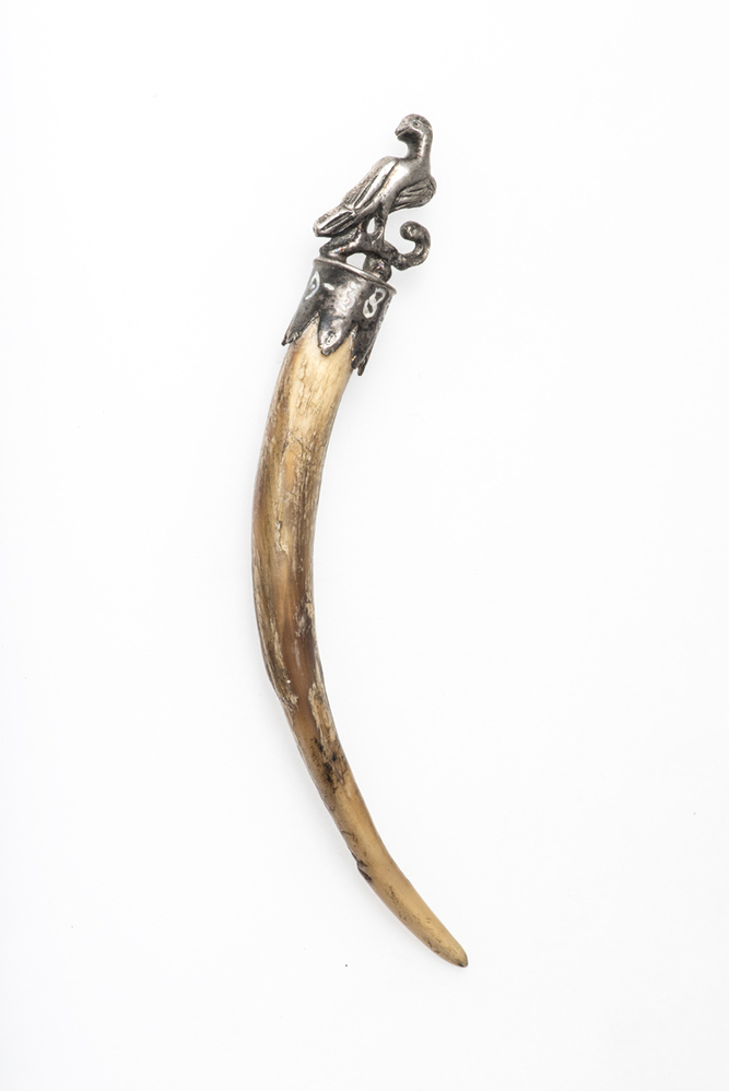 Pijpenkrabber of -reutelaar (pijpenpreukel)