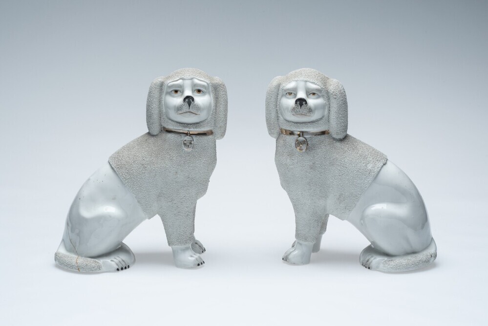 Twee zittende poedels