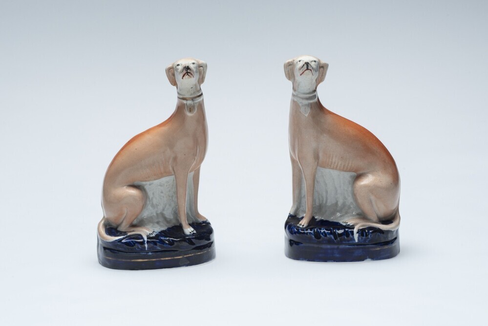 twee zittende hazewindhonden