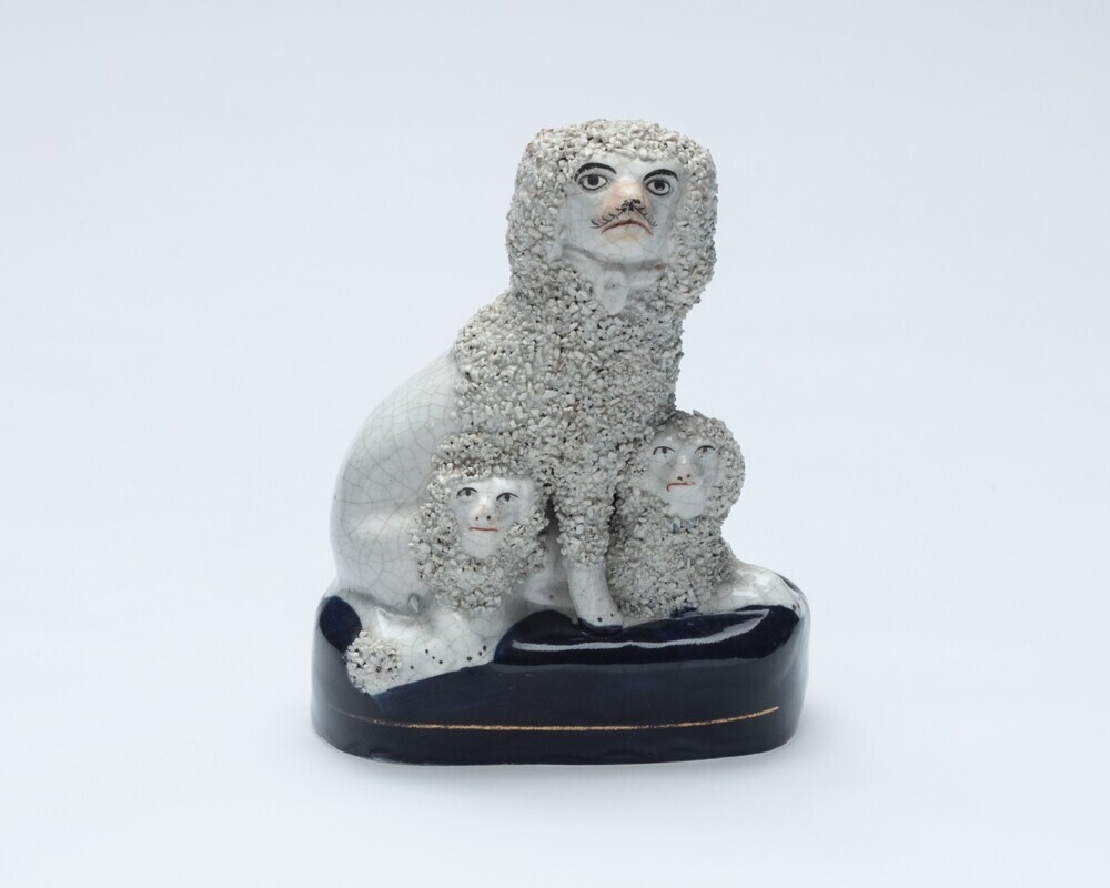 Witte poedel met puppies