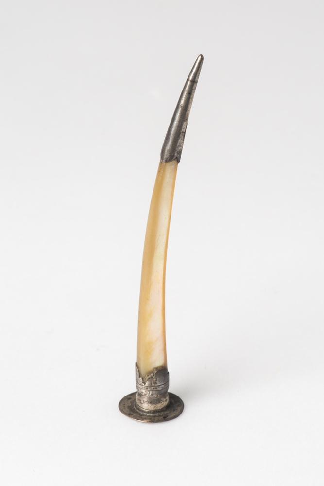 Pijpenkrabber of -reutelaar (pijpenpreukel)