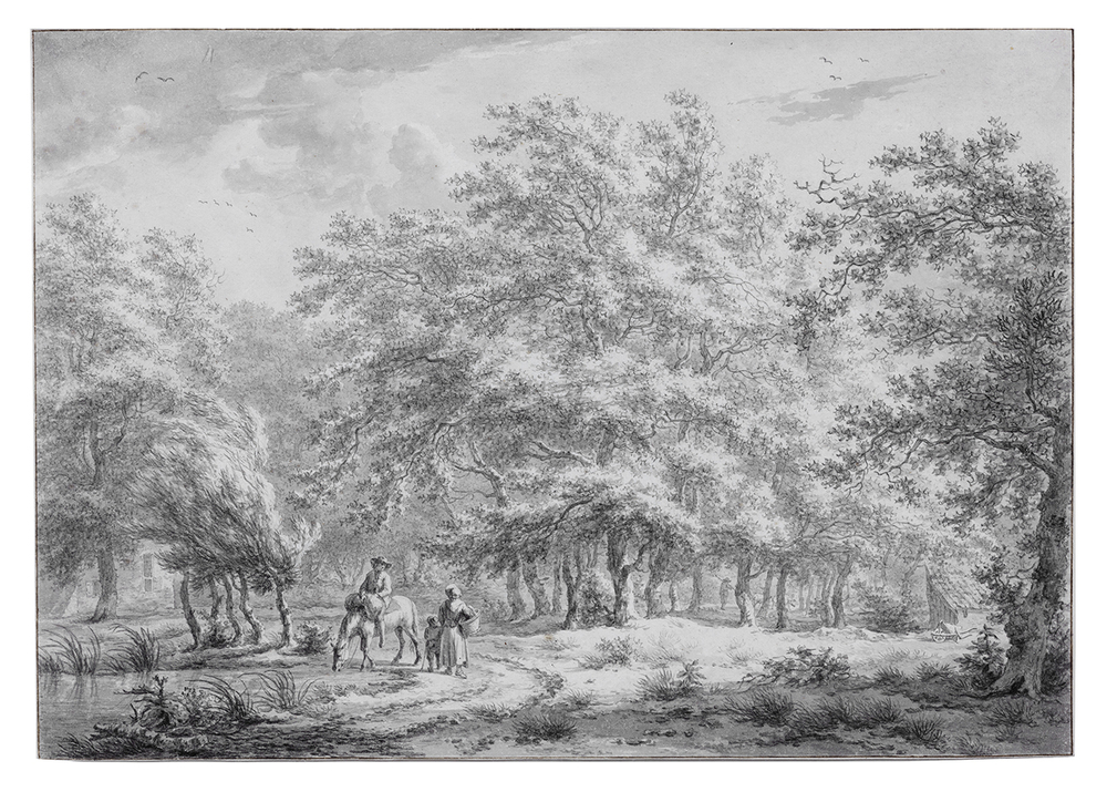 Bosgezicht te Eext, Drenthe