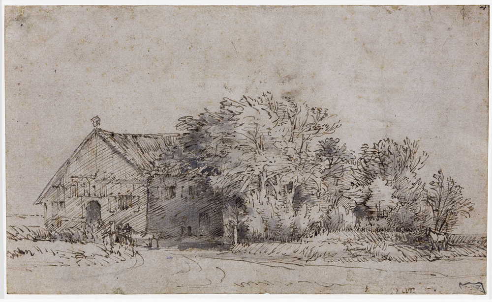 Boerderij met een grote boomgroep