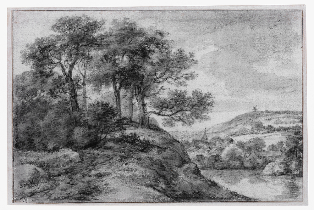 Landschap met grote boomgroep