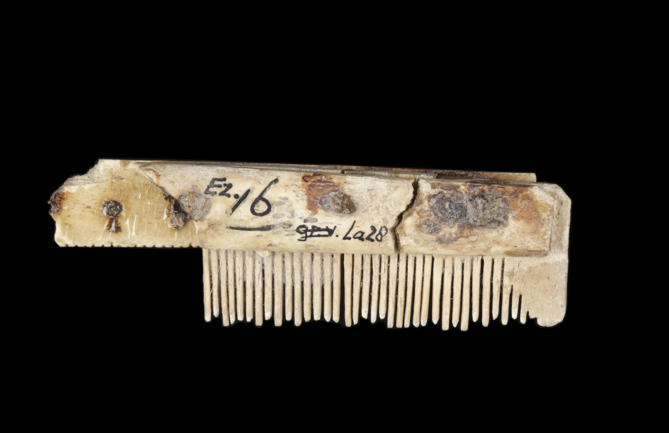 Kam en foedraal (Ezinge, De Bouwerd)