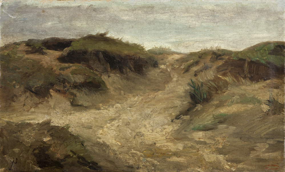 Studie duinlandschap