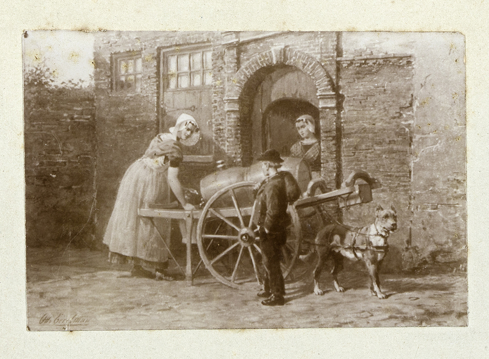 Melkkar met hond en mensen