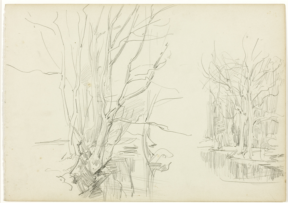 Boomgroepen Noorderplantsoen aan een vijver