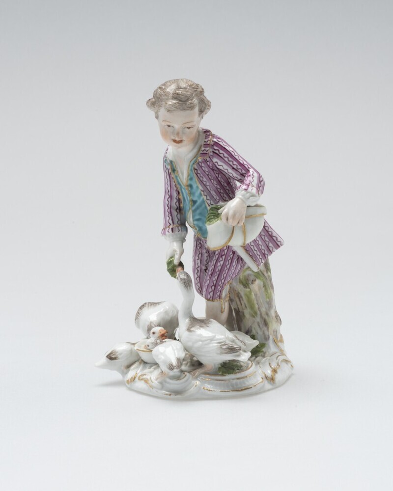 Ganzen voerende jongen