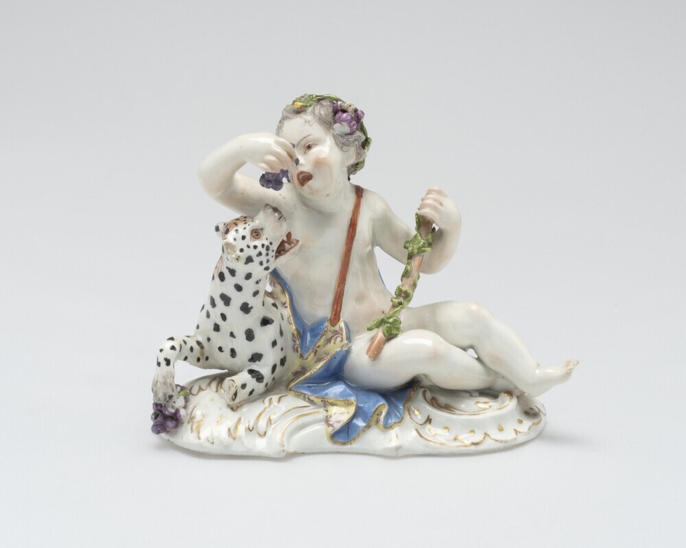 Kind met druiven bij panter