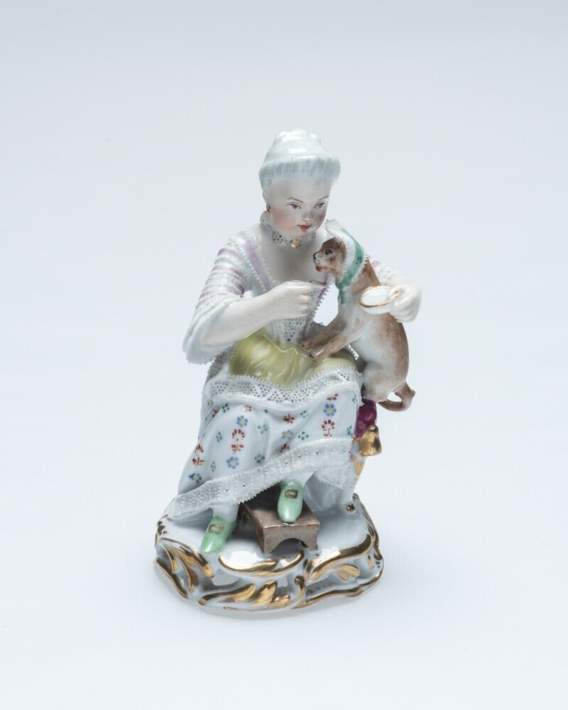 Vrouw met spelende kat