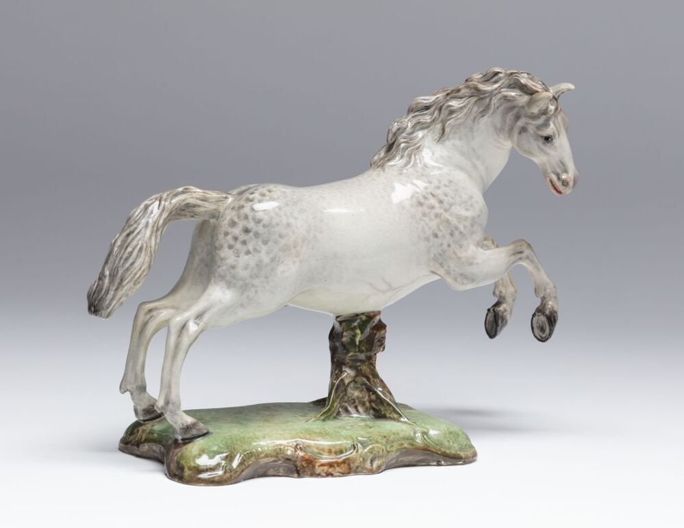 Galopperende appelschimmel