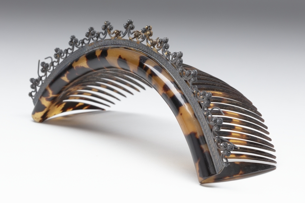 Haarkam van schildpad