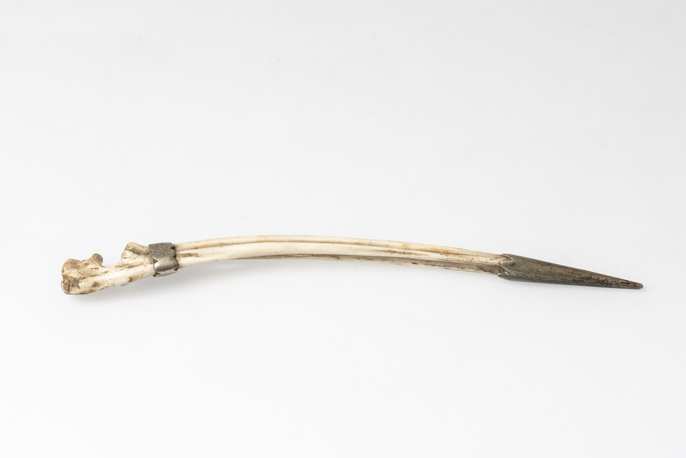 Pijpenkrabber of -reutelaar (pijpenpreukel)