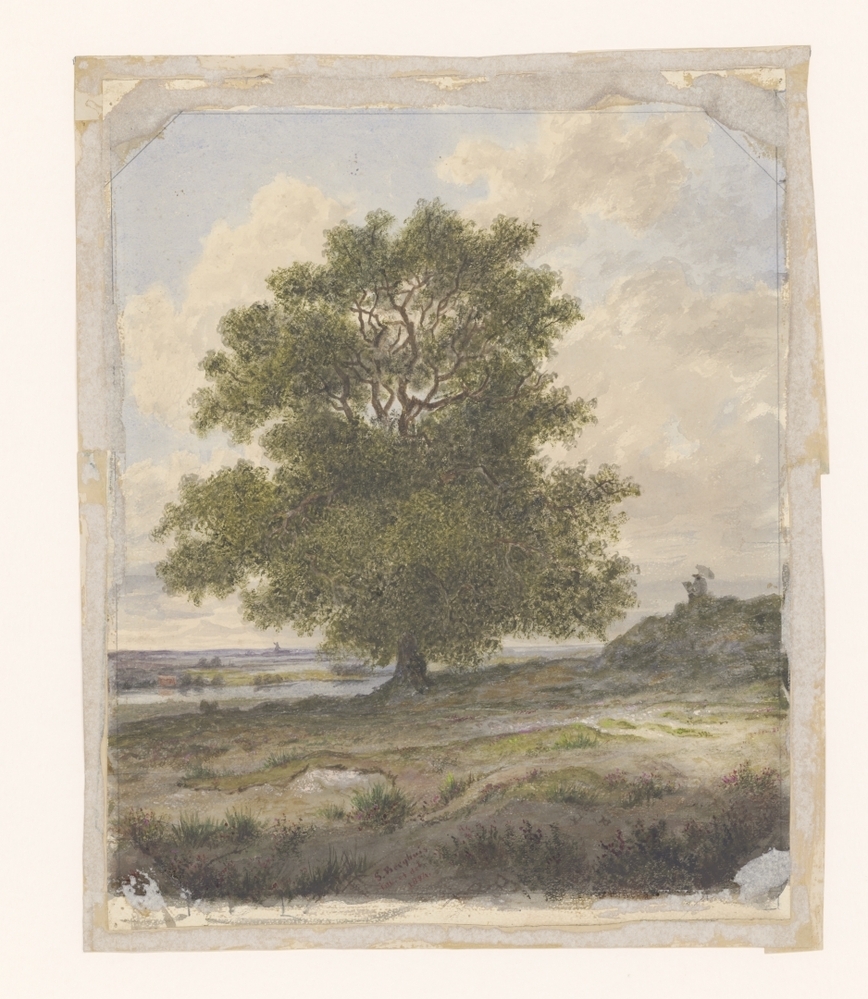 Landschap met grote boom