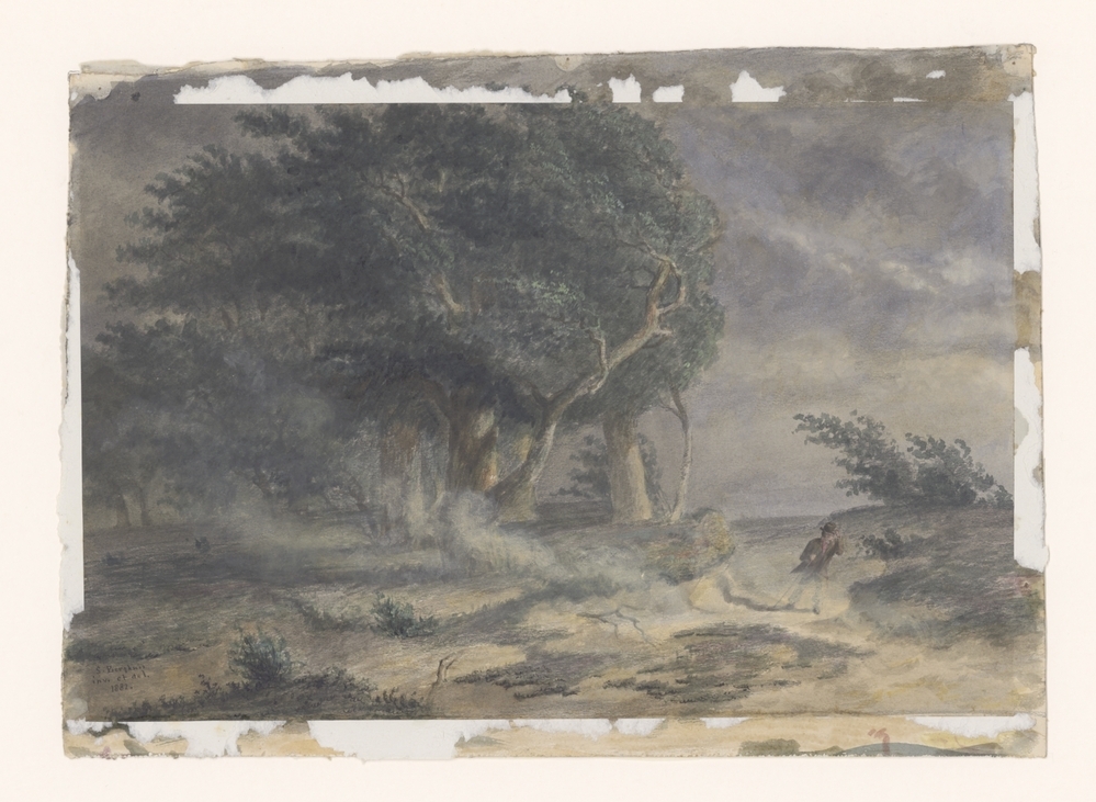 Landschap in stormachtig weer