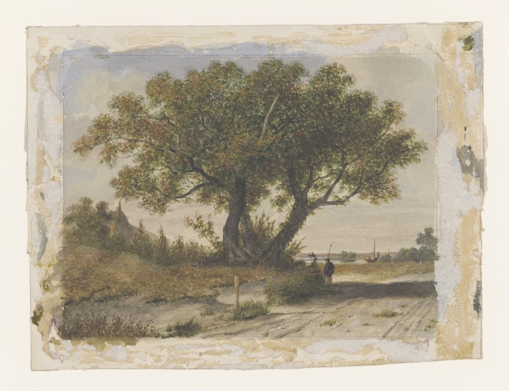 Landschap met groep bomen