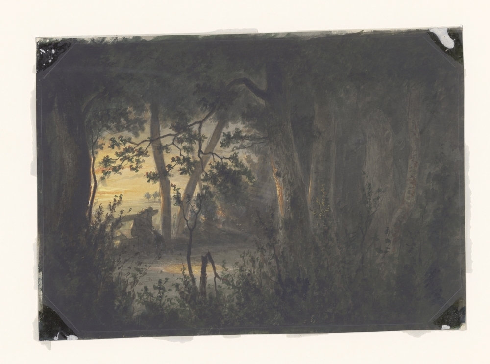 Avondstemming in de boslaan