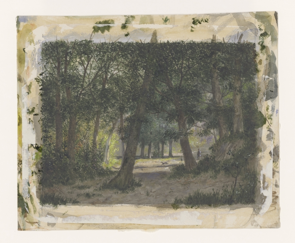 Bosgezicht met jager