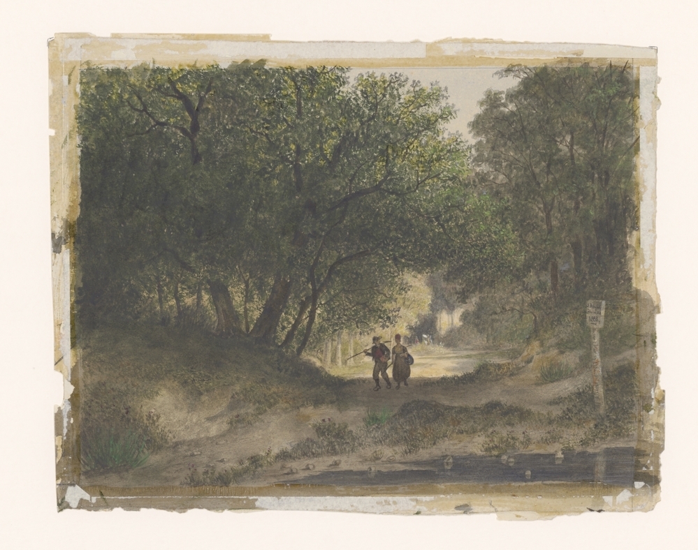 Bosgezicht met wandelaars