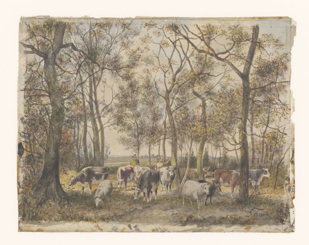 Bos- en weidelandschap met vee