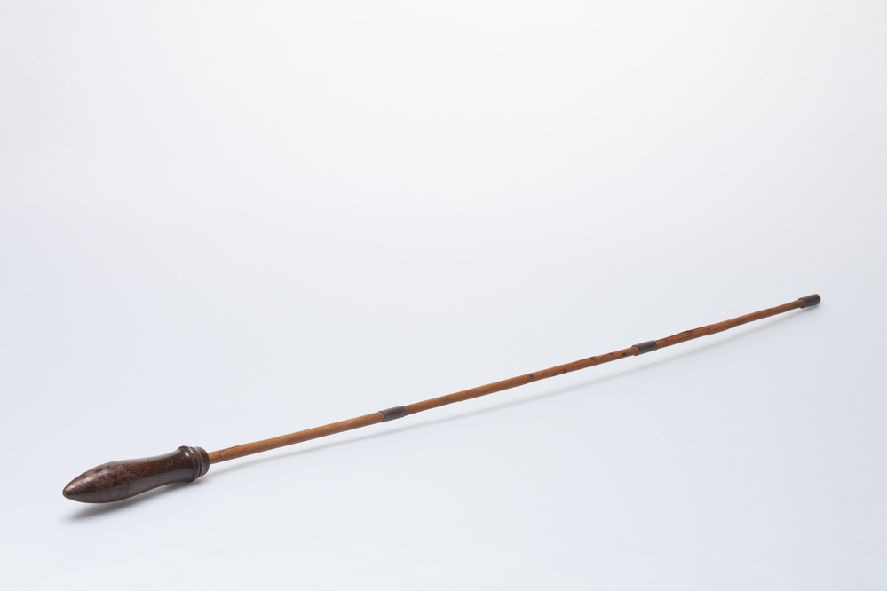 Wandelstok met zwart handvat