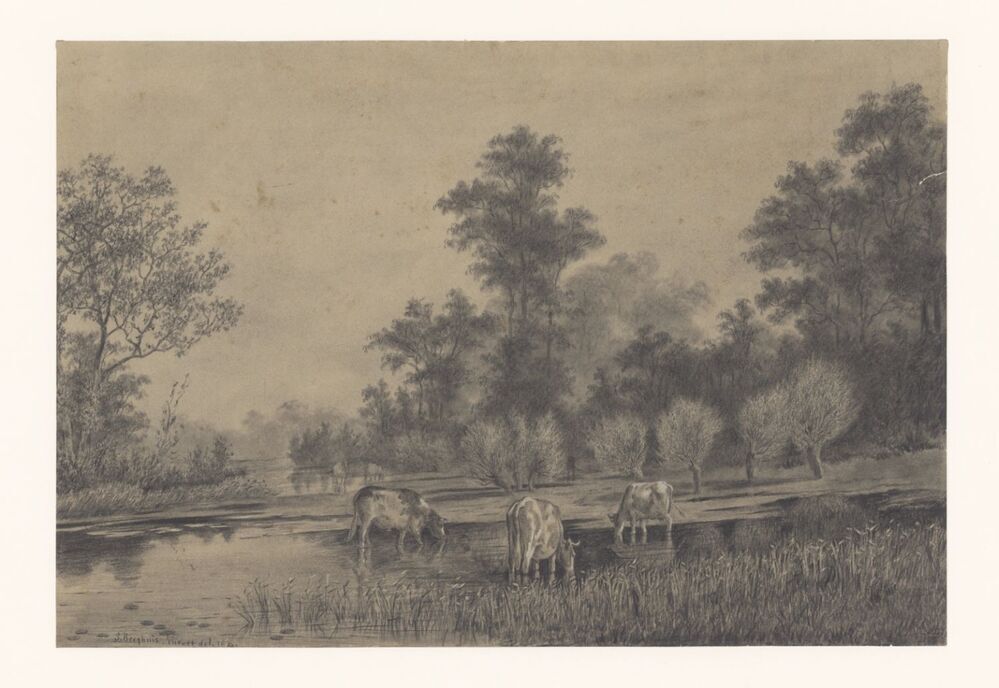 Landschap met koeien