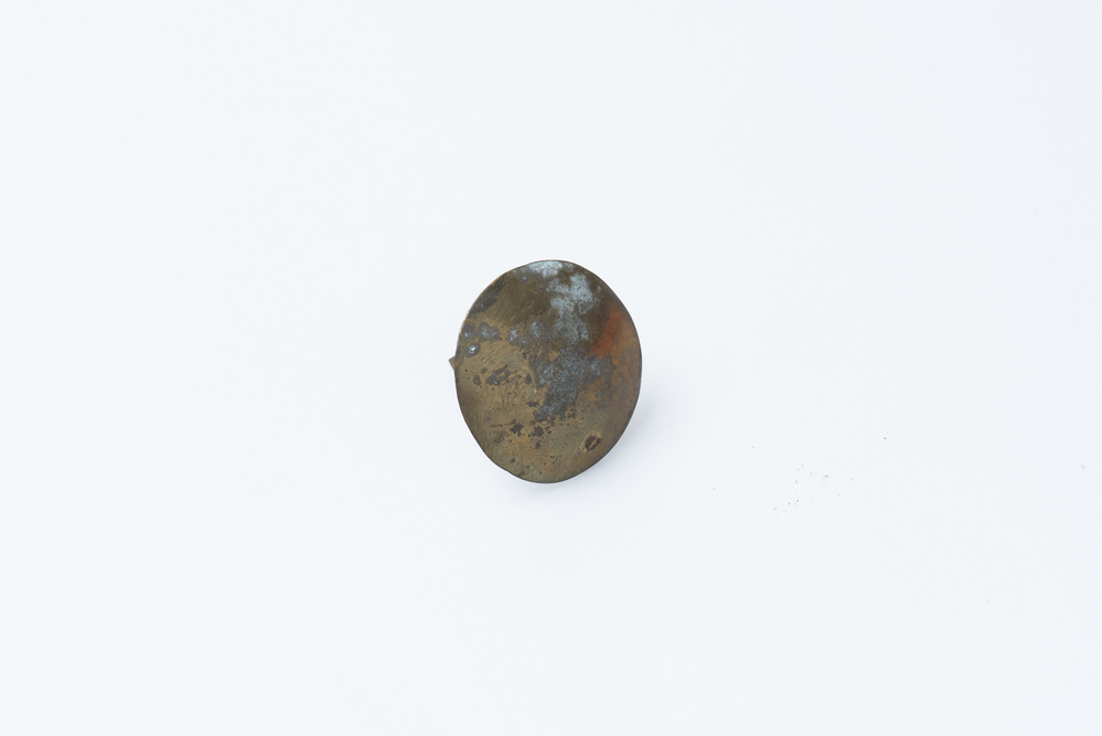 Verzilverd ornament voor paardentuig