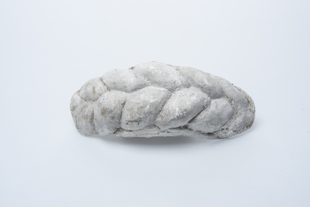 Gipsafgietsel van de klok te Scheemda