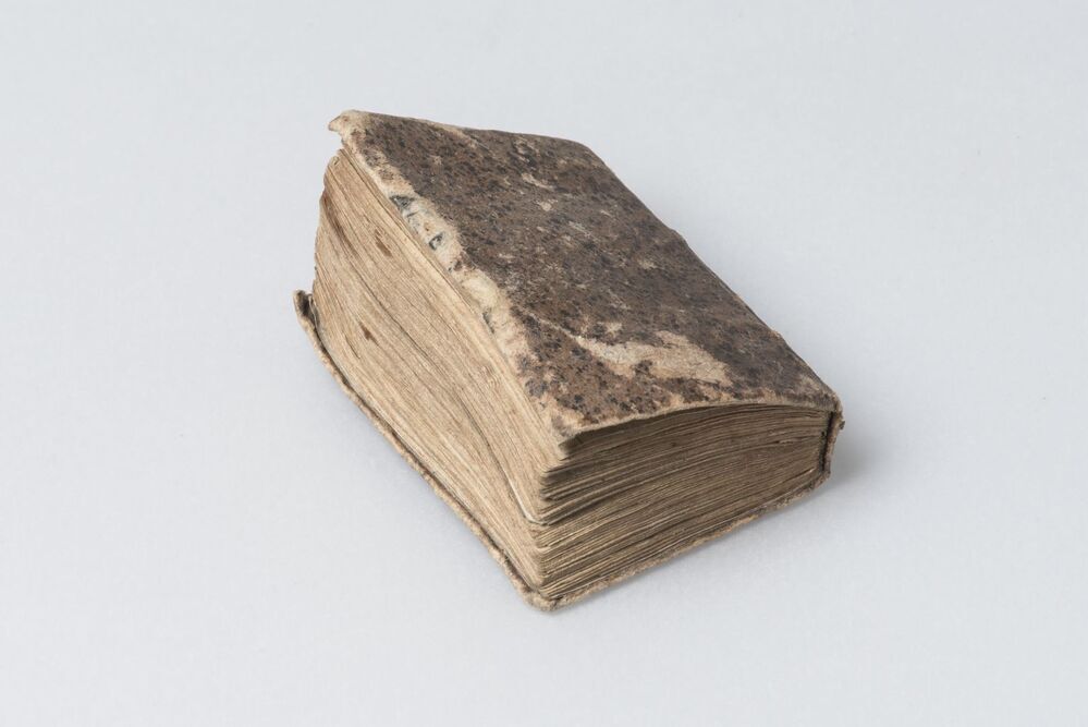 Kern der Godlyke waarheden voor de jeugd