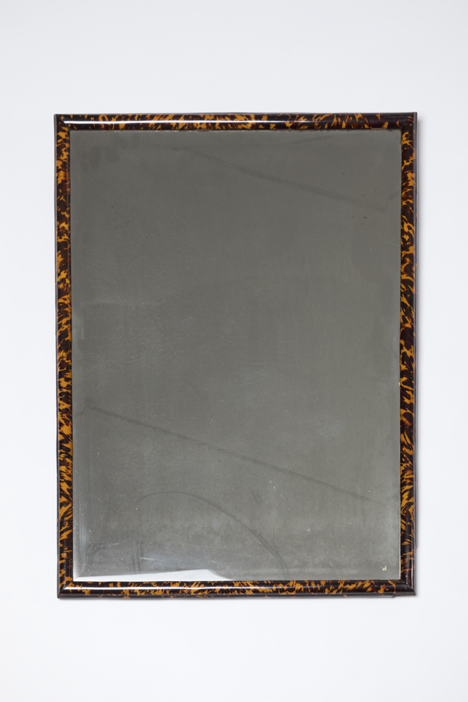 Langwerpige spiegel met schildpadlijst