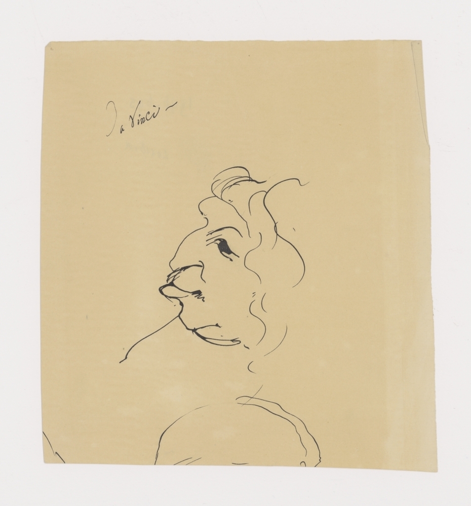 Groteske hoofden naar Leonardo Da Vinci