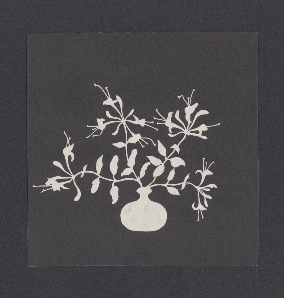 Vier kamperfoelietakken in een klein kogelvormig vaasje