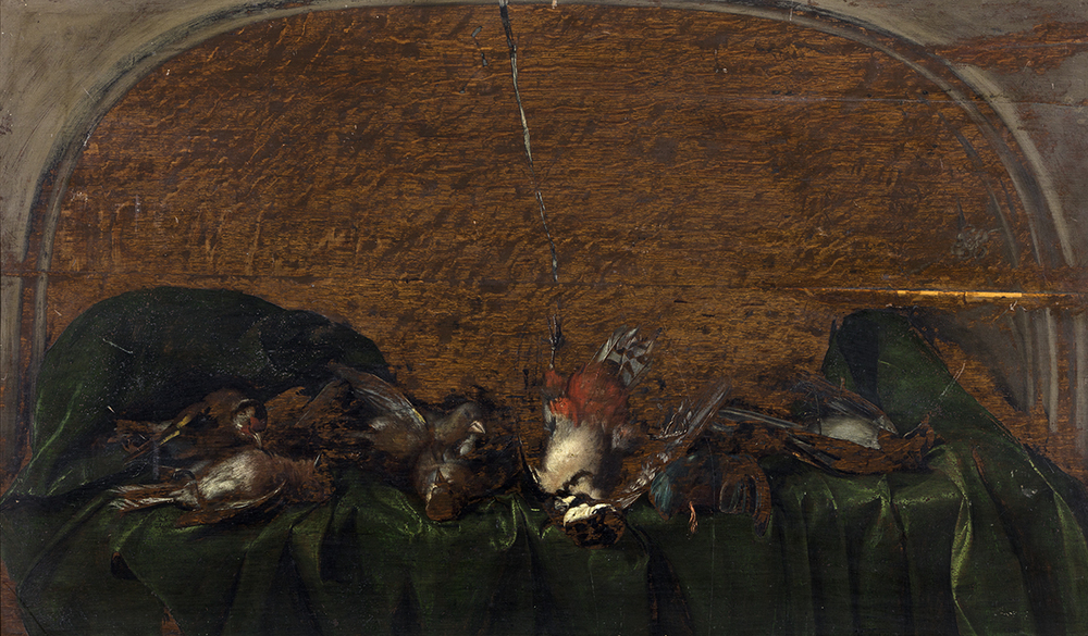 Stilleven van dode vogels