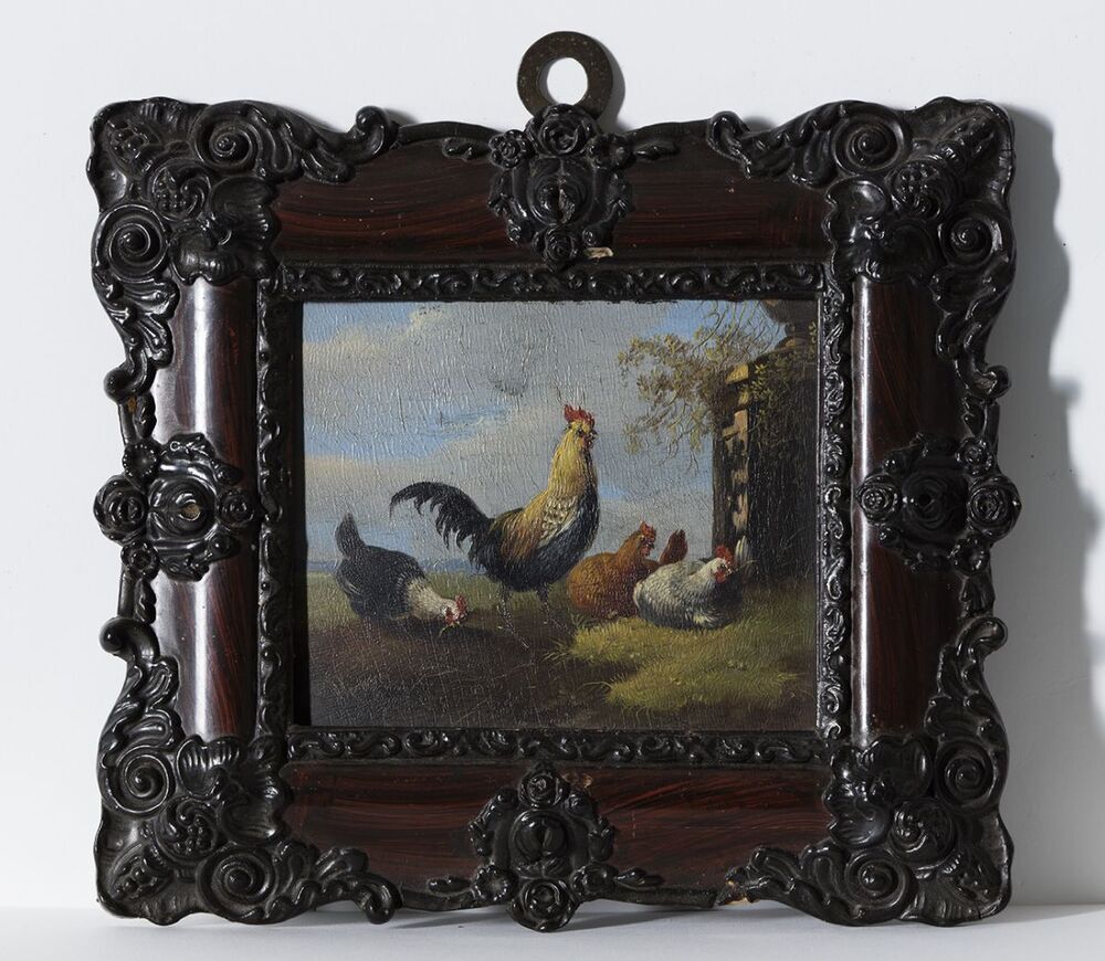 Boerenerf (haan en kippen)