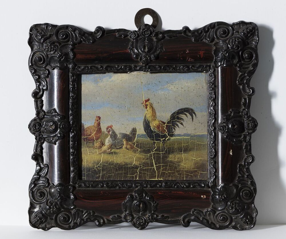 Boerenerf (haan en kippen)