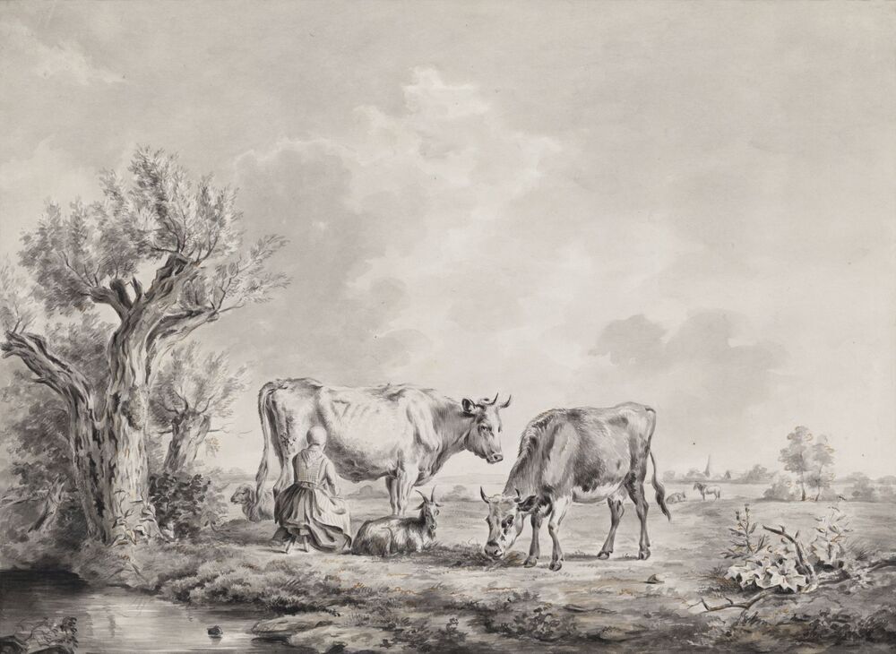 Een weide waarin twee koeien enz
