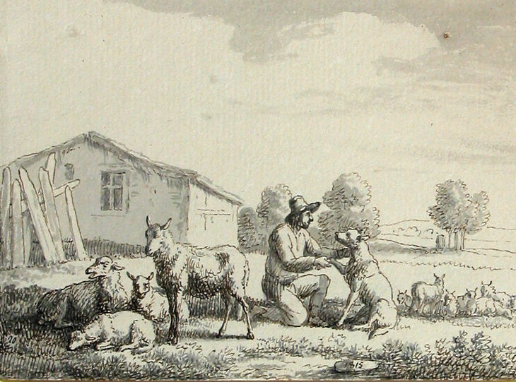 Herder met hond en schapen