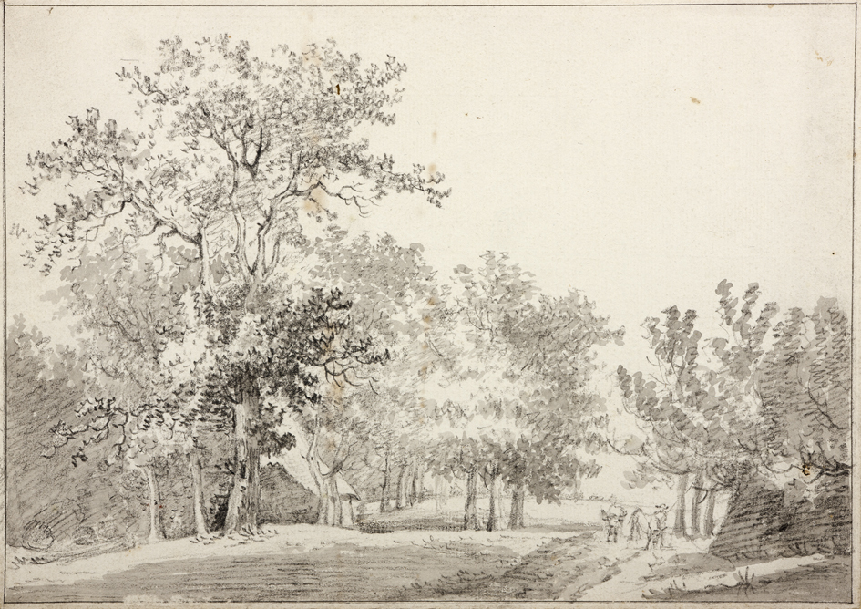 Landschap met geboomte