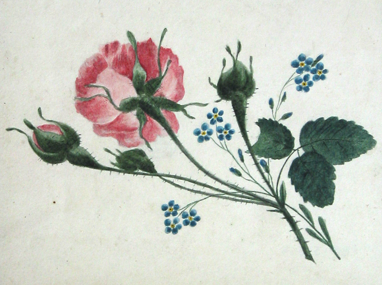 rozen en vergeet-mij-nietjes